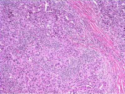 2006 02 08 16 47 38 706