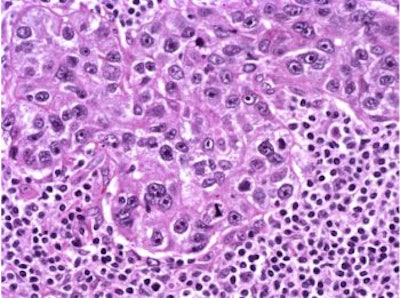 2006 02 08 16 48 11 706