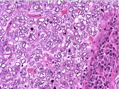 2006 02 08 16 48 41 706