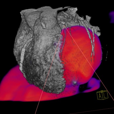 2006 02 22 17 06 07 706