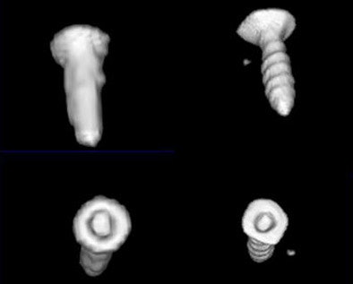 2006 03 07 10 55 45 706