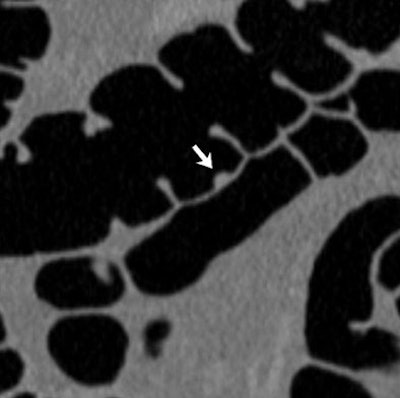 2006 04 11 15 31 55 706