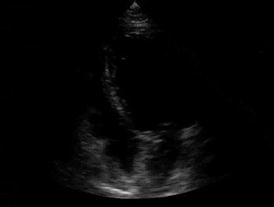 2006 04 17 15 08 52 706