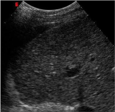 2006 04 17 15 26 10 706