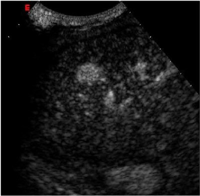 2006 04 17 15 26 28 706