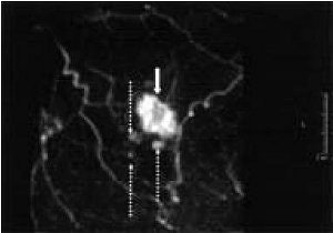 2006 04 28 15 36 13 706