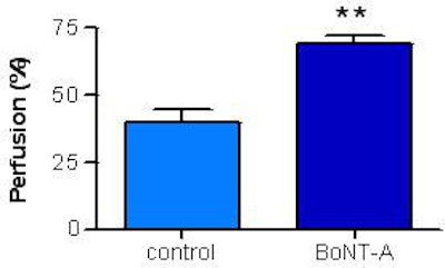 2006 05 17 15 21 48 706