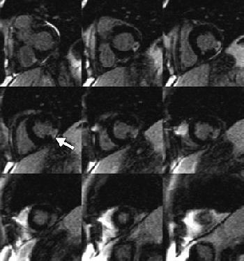 2006 05 26 16 05 48 706