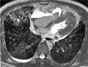 2006 05 26 16 06 18 706