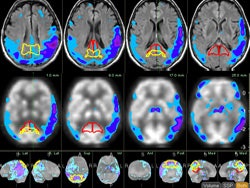 2006 06 06 17 31 30 706