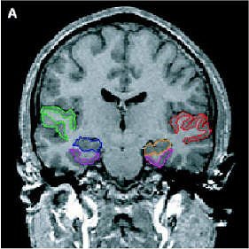 2006 06 23 14 15 05 706