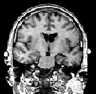 2006 06 23 14 18 49 706