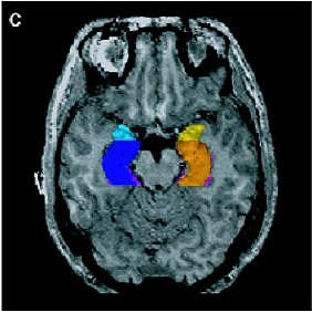 2006 06 23 14 19 11 706