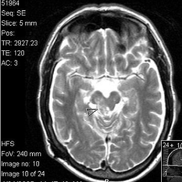 2006 06 29 13 16 33 706