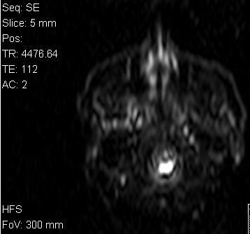 2006 06 29 13 19 38 706