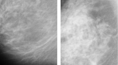 2006 06 29 14 06 49 706