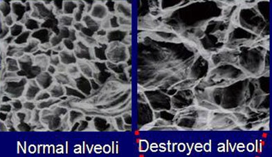 2006 06 30 11 08 39 706