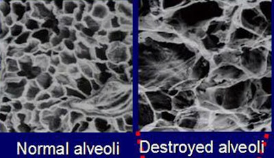 2006 06 30 11 08 39 706