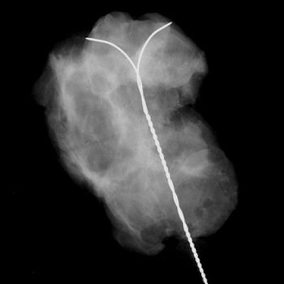 2006 06 30 11 24 06 706