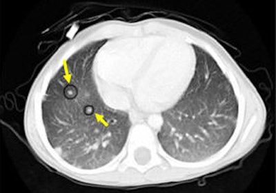 2006 07 18 16 17 52 706