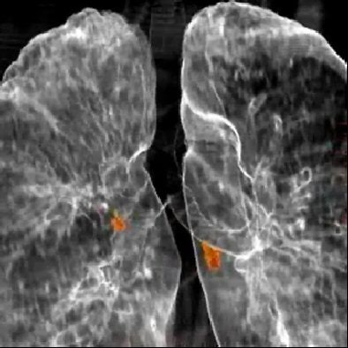 2006 07 26 10 51 56 706