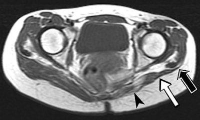 2006 07 27 15 37 22 706