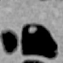 2006 08 07 17 01 24 706