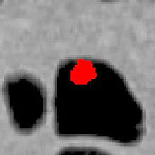 2006 08 07 17 01 56 706