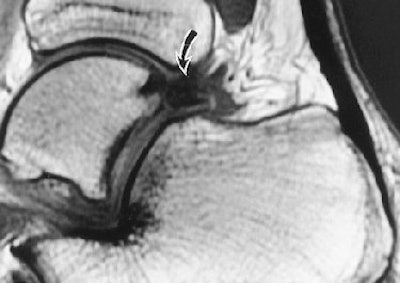 2006 08 11 16 15 05 706