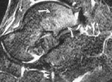 2006 08 11 16 15 22 706