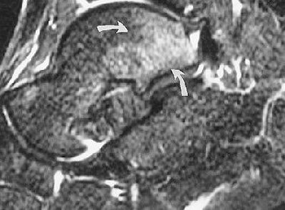 2006 08 11 16 15 22 706