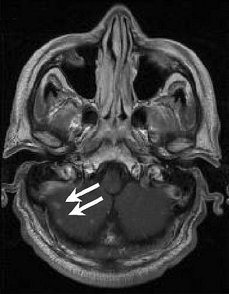 2006 08 31 16 18 26 706