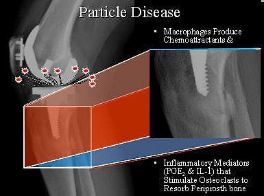 2006 09 01 14 25 33 706