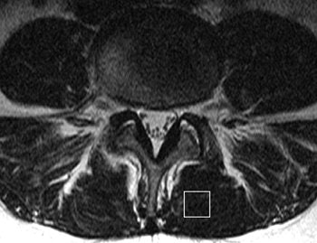 2006 09 25 15 38 23 706