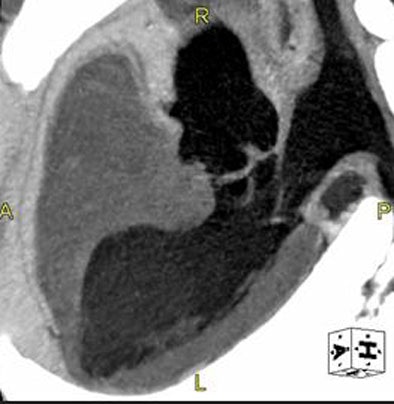 2006 09 27 15 24 00 706