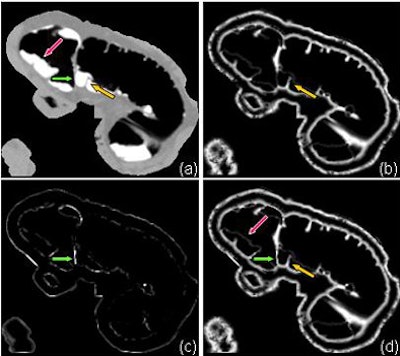 2006 10 10 15 19 21 706