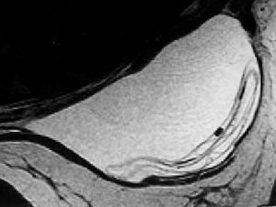 2006 10 10 15 56 40 706