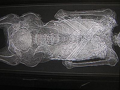 2006 10 31 00 32 38 706