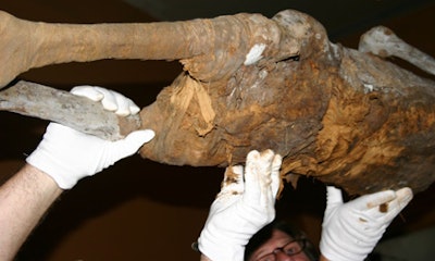 2006 10 31 00 33 16 706