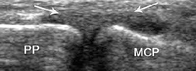 2006 11 01 10 49 06 706