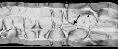 2006 12 11 14 58 40 706