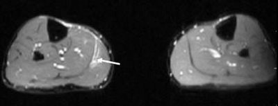 2006 12 28 15 09 12 706