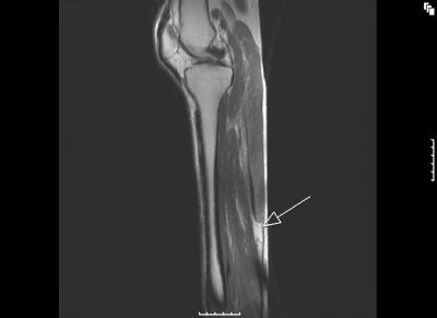 2006 12 28 15 23 53 706