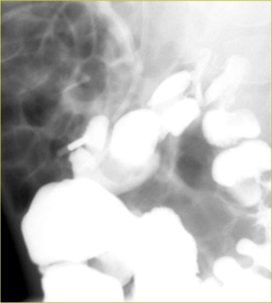 2007 01 08 14 40 10 706