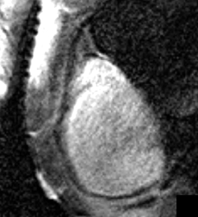 2007 01 26 16 37 41 706