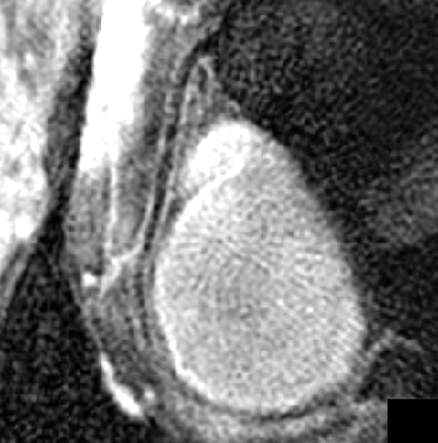 2007 01 26 16 38 06 706