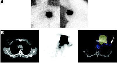 2007 02 13 15 52 19 706