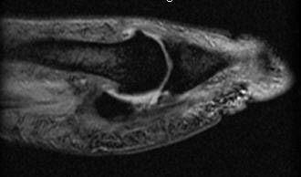 2007 02 16 16 09 04 706