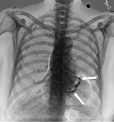 2007 02 21 17 08 44 706