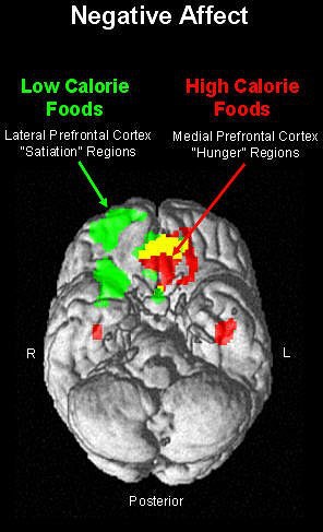 2007 02 26 13 14 37 706